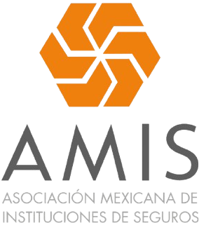 seguro de gastos medicos mayores