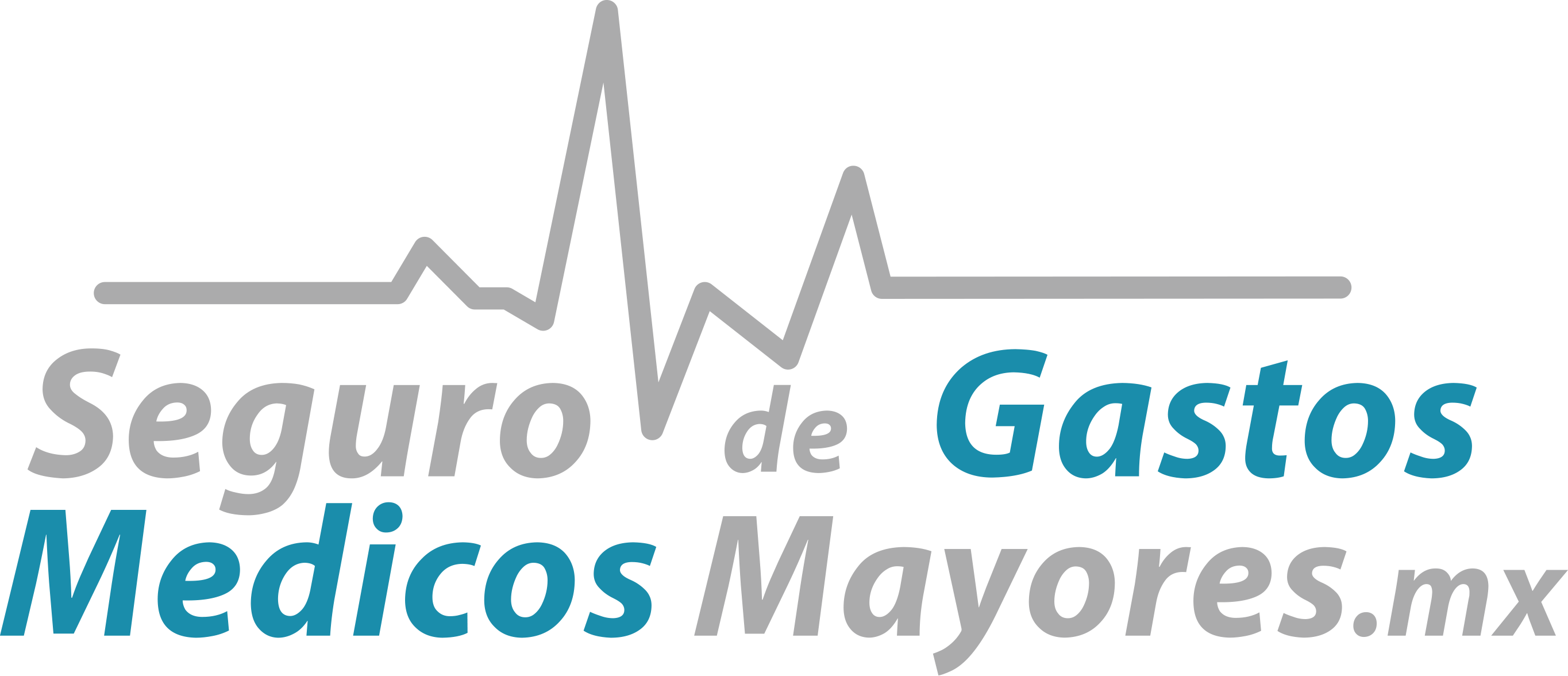 seguro de gastosmedicos mayores